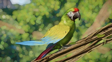 Military Macaw - New Species - 1.17