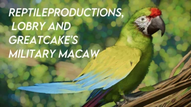 Military Macaw - New Species - 1.17