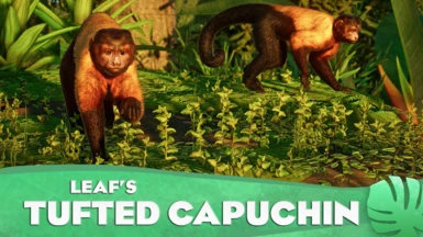 Tufted Capuchin Monkey - New Species (1.15)