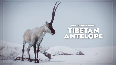 Tibetan Antelope - New Species (1.17)