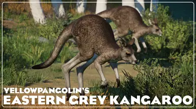 Eastern Grey Kangaroo - New Species (1.17)