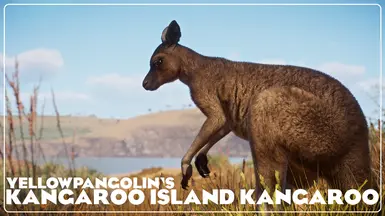 Kangaroo Island Kangaroo - New Species (1.17)