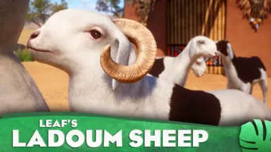Ladoum Sheep - Domestic Sheep - New Species (1.17)