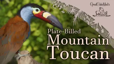 Plate-Billed Mountain Toucan - New Species (1.17)