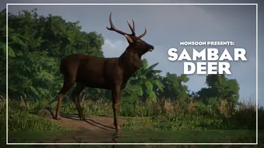 Sambar Deer - New Species (1.17)