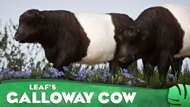 Belted Galloway Cow - New Domestic Species (1.17)