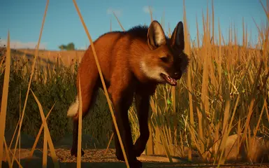 Maned Wolf - New Species (1.10) at Planet Zoo Nexus - Mods and community