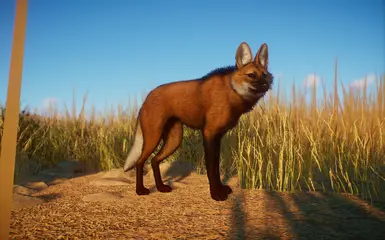 Maned Wolf - New Species (1.10) at Planet Zoo Nexus - Mods and community