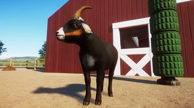 (1.8) New Species - Nubian Goat
