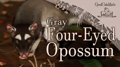 Gray Four-Eyed Opossum - New Species (1.18)