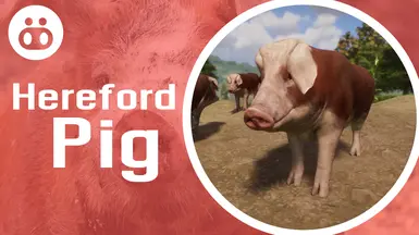 Hereford Pig - New Species (1.18) at Planet Zoo Nexus - Mods and community