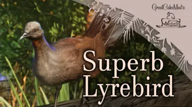 Superb Lyrebird - New Species (1.18)