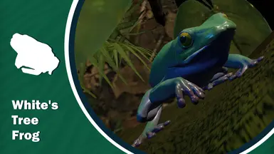 White's Tree Frog - New Exhibit Species (1.18)