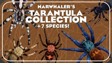 Narwhaler's Tarantula Collection - New Exhibit Species (1.18)