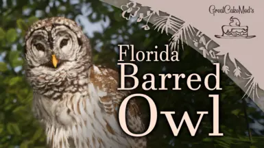 Florida Barred Owl - New Species (1.18)