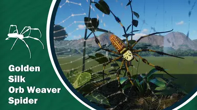 Golden Silk Orb Weaver Spider - New Exhibit Species (1.18)