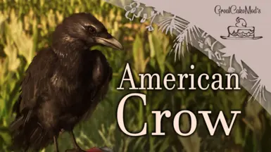 American crow - New Species (1.18)