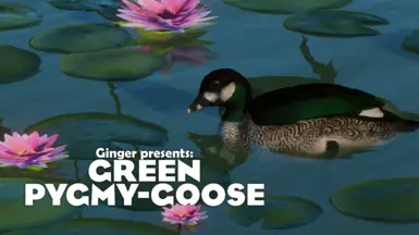 Green Pygmy-Goose - New Species (1.18)