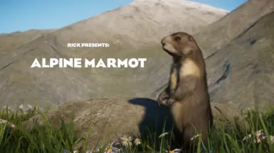 Alpine Marmot - New Species (1.18)