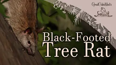 Black-Footed Tree Rat - New Species (1.18)