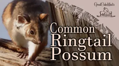 Common Ringtail Possum - New Species (1.18)