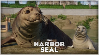 Harbor Seal - New Species (1.12)