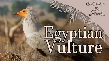 Egyptian Vulture - New Species ( 1.18)