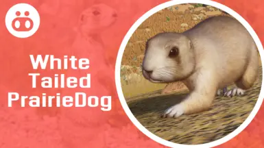 White Tailed Prairie Dog - New Species (1.18)