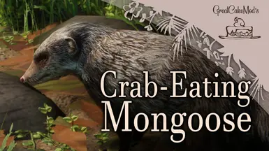 Crab-Eating Mongoose - New Species (1.18)