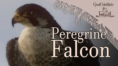 Peregrine Falcon - New Species (1.18)