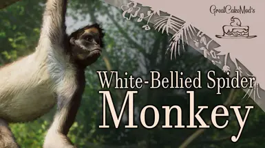 White-Bellied Spider Monkey - New Species (1.18)