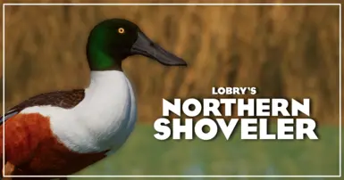 Northern Shoveler - New Species (1.18)