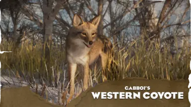 Western Coyote - New Species (1.19)