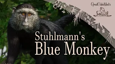 Stuhlmann's Blue Monkey - New Species (1.18)