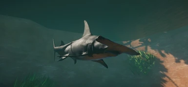 Great Hammerhead Shark - New Species (Updated for 1.5)