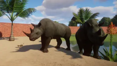 Black Rhinoceros - new species - Updated for 1.6 at Planet Zoo Nexus