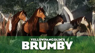 Brumby - Australian Feral Horse (1.19)