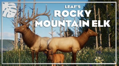 Rocky Mountain Elk - Wapiti - New Species (1.10)
