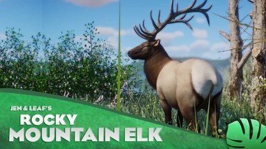 Rocky Mountain Elk - Wapiti - New Species (1.12)
