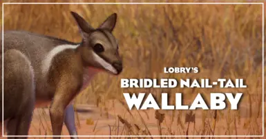 Bridled Nail-Tail Wallaby - New Species (1.19)