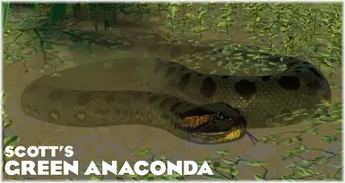 Green Anaconda - New Exhibit Species (1.19)