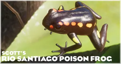 Rio Santiago Poison Frog - New Exhibit Species (1.19)