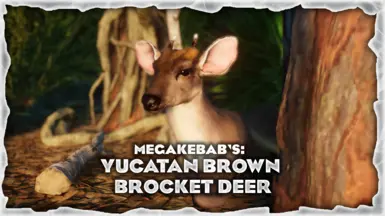 Yucatan Brown Brocket Deer - New Species (1.19)