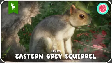 Eastern Grey Squirrel - New Species (1.19)