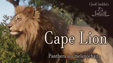 Cape Lion - New Extinct Species (1.19)