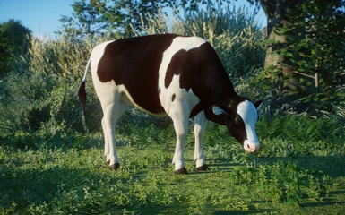 (1.8) New Species - Holstein Friesian Cow
