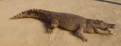 Saltwater Crocodile Remaster at Planet Zoo Nexus - Mods and community