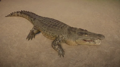 (1.9)Saltwater Crocodile Remaster