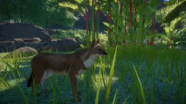 Dhole Remaster-Replacement (1.5 Compatible) at Planet Zoo Nexus - Mods ...