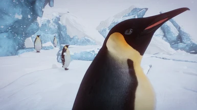 (1.10) Emperor Penguin - New Species